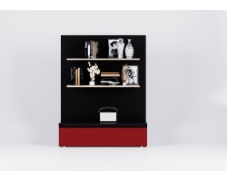 Soft Touch shelves unit